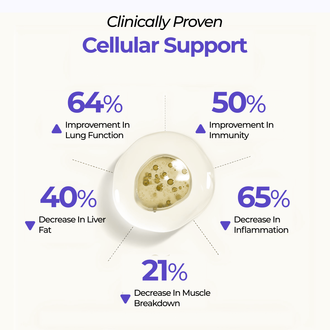 Infographic showing clinically proven NAC + Glycine benefits with improvements in lung function, immunity, reduced inflammation, liver fat and muscle breakdown
