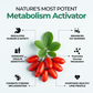 Nature's most potent metabolism activator with goji berries showing benefits for regulating hunger, enhancing fat burning, improving insulin sensitivity, and maintaining a healthy lipid profile.