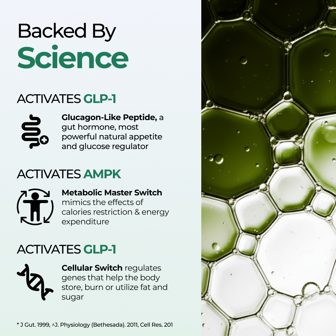 Backed by science, Vitalis Living Berberine Gummies activate GLP-1, AMPK, and cellular switches to regulate appetite, enhance fat burning, and support glucose metabolism for weight management.