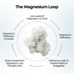 Illustration of The Magnesium Loop, showing the cycle of magnesium deficiency, stress, and the impact on sleep, mood, and health.