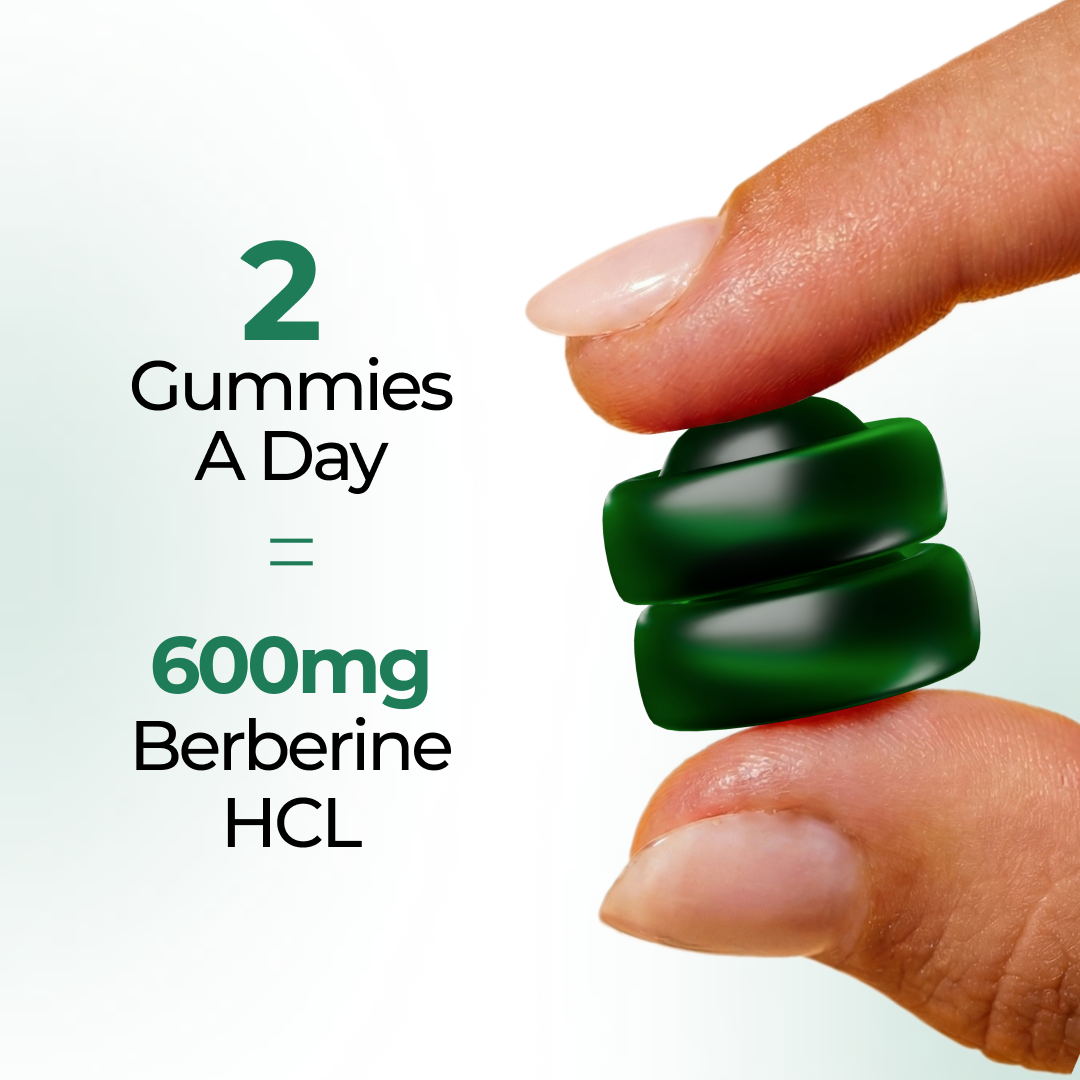 Two Vitalis Living Berberine Gummies representing 600mg of Berberine HCL for daily metabolic support, with the dosage of 2 gummies per day clearly shown.