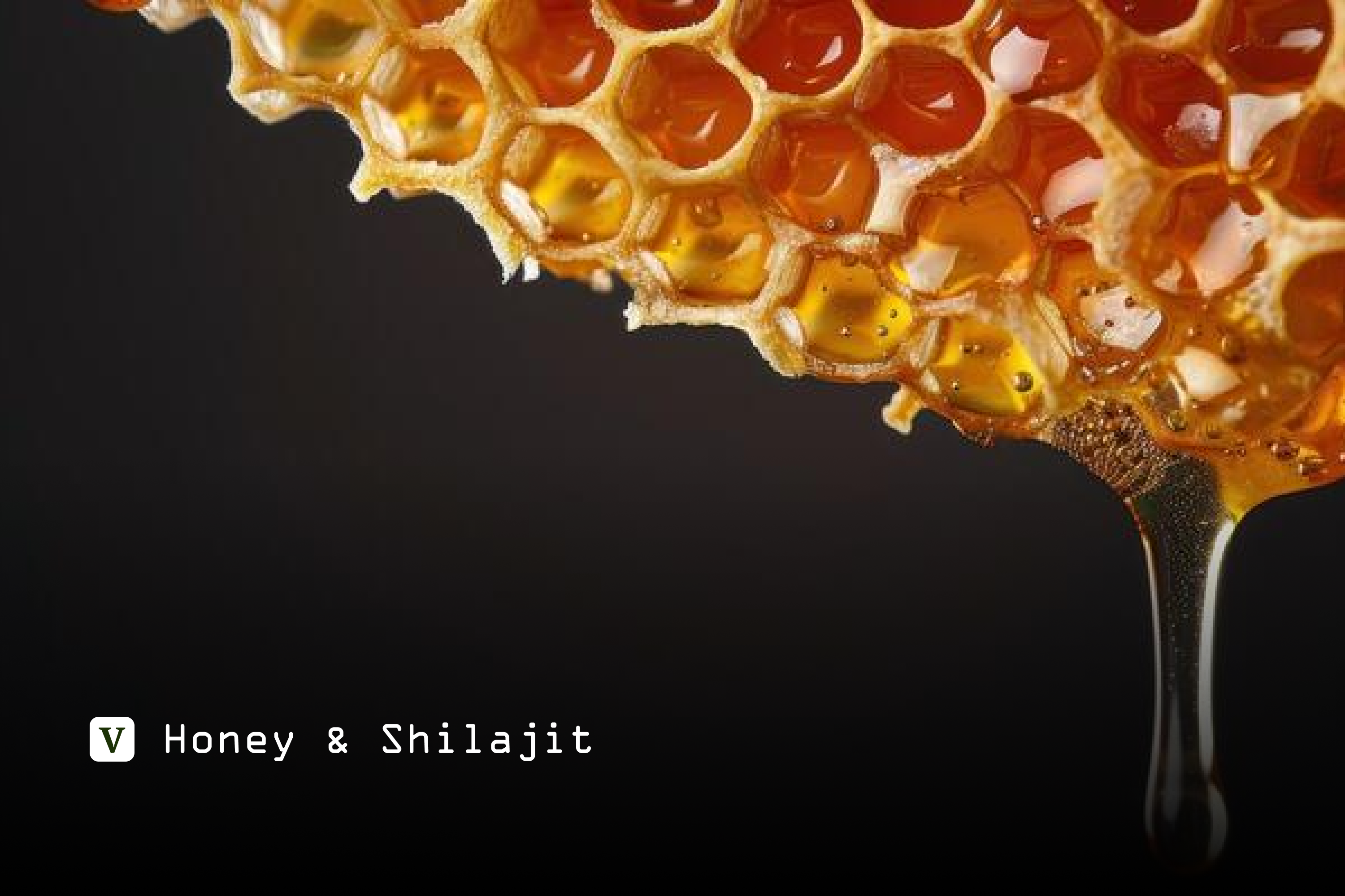 Ayurvedic Wisdom: Combining Shilajit and Honey
