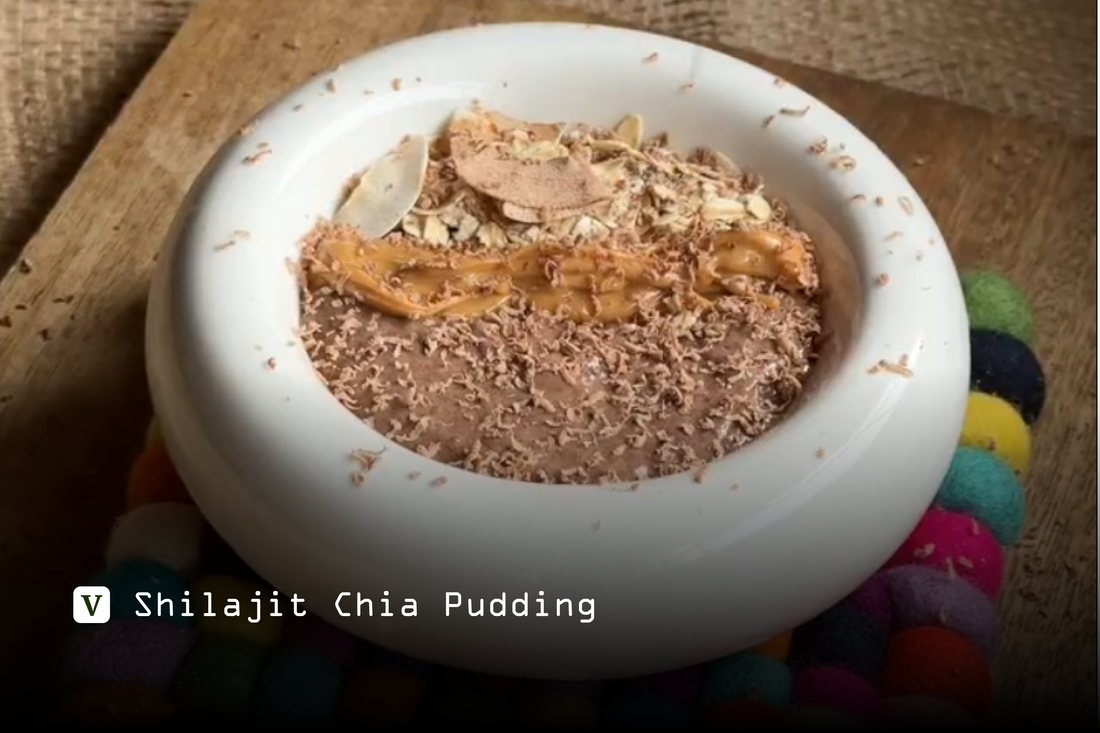 Shilajit Chia Pudding