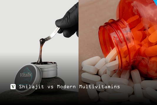 Shilajit vs. Modern Multivitamins