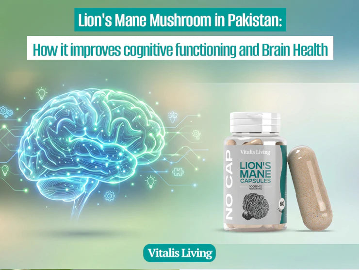 Lion's Mane Mushroom in Pakistan