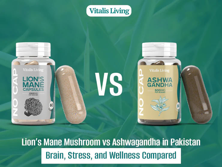 Lion’s Mane Mushroom vs Ashwagandha