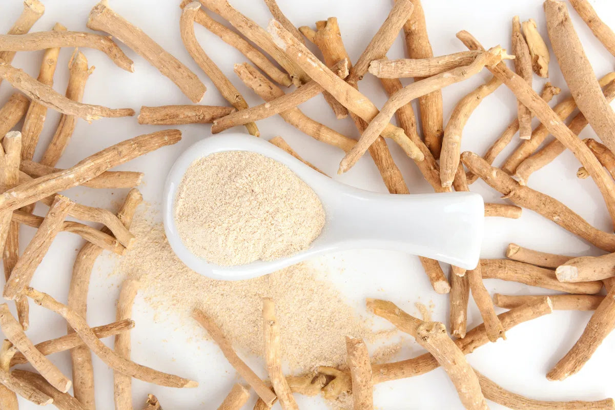 Ashwagandha: Science-Backed Benefits, How It’s Grown, and the Best Capsules in Pakistan