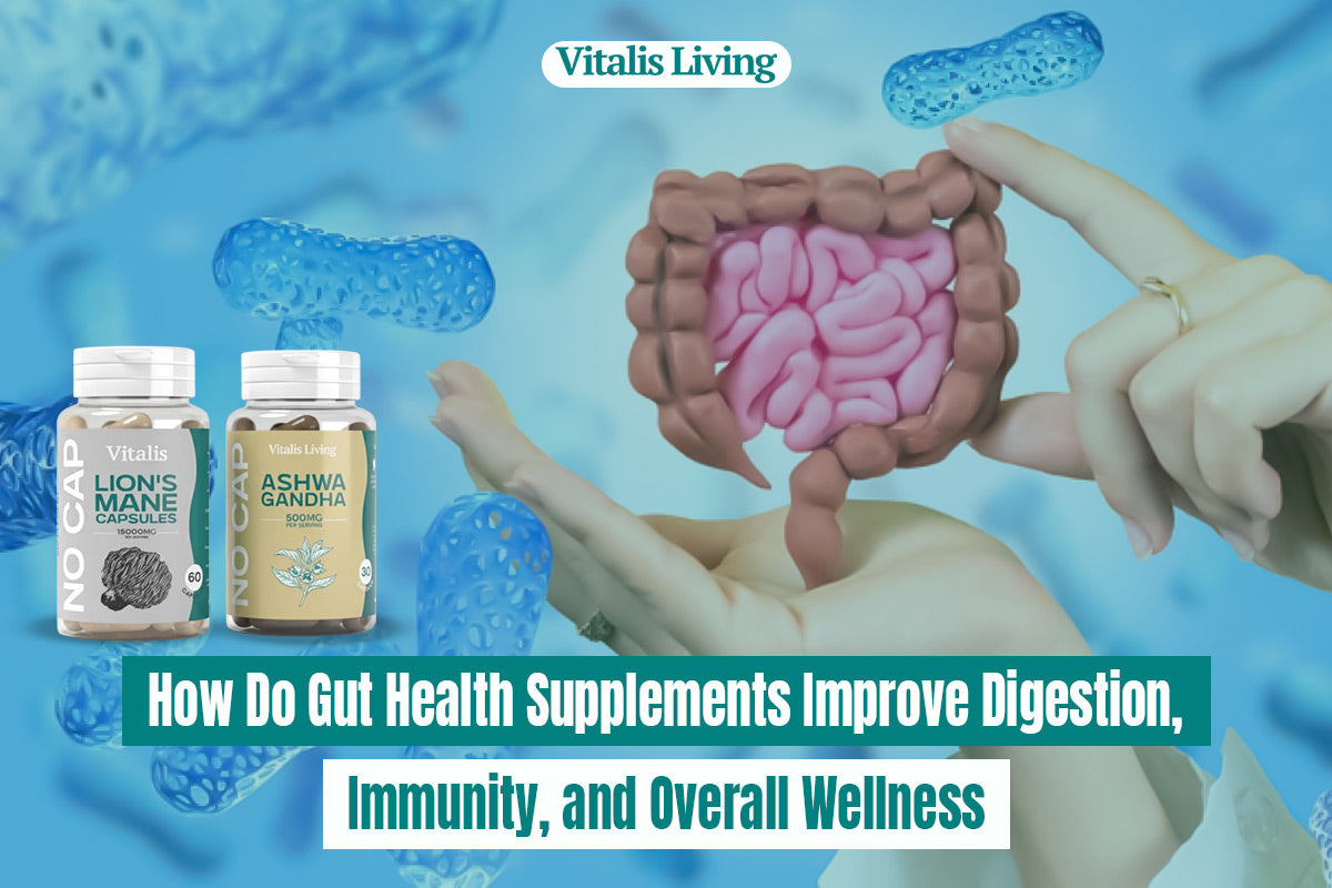  Gut Health Supplements 