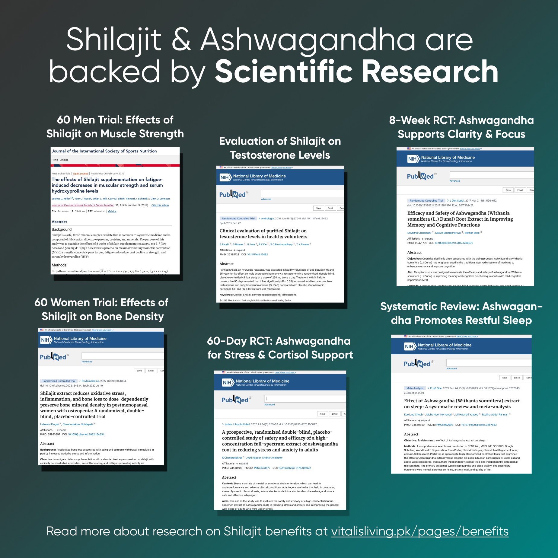 Shilajit Capsules